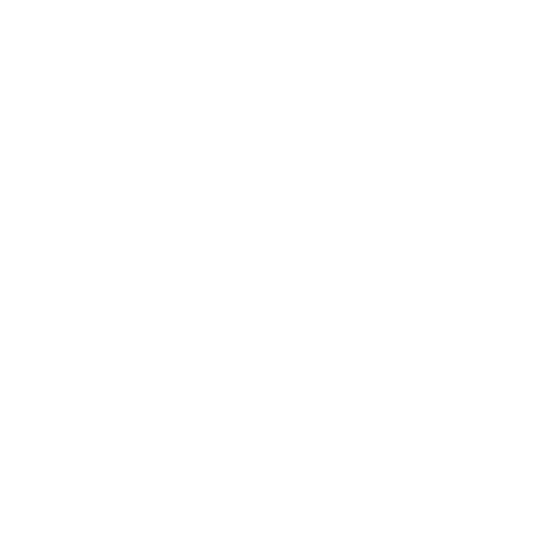 DataRaft